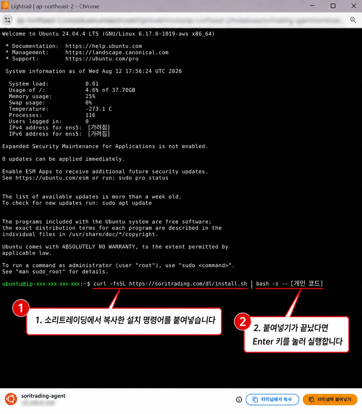 Paste the soritrading install command