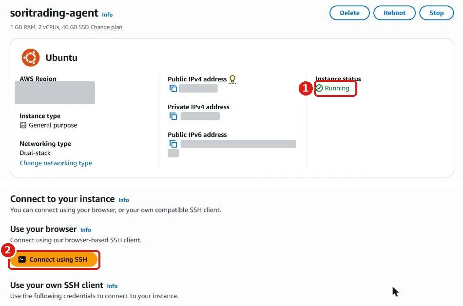 Server detail page showing Instance status Running and the orange Connect using SSH button