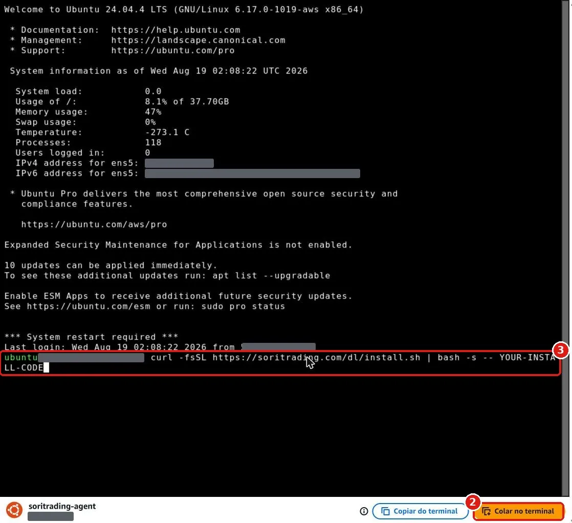 Janela preta do terminal com o botão laranja Colar no terminal no canto inferior direito e o comando digitado na linha do cursor